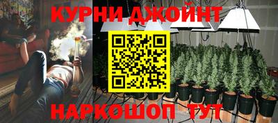 молекула духа Бузулук
