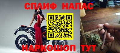 мяу мяу мука Будённовск