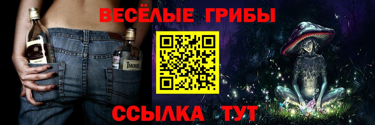 Асбест  Псилоцибиновые грибы GOLDEN TEACHER  Вход с VPN 